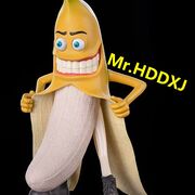 Mr.HDDXJ